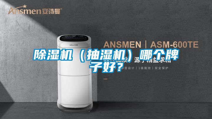 91抖音免费看片（抽湿机）哪个牌子好？