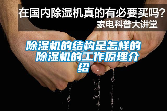 91抖音免费看片的结构是怎样的 91抖音免费看片的工作原理介绍