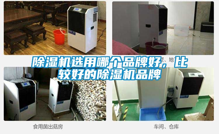 91抖音免费看片选用哪个品牌好，比较好的91抖音免费看片品牌