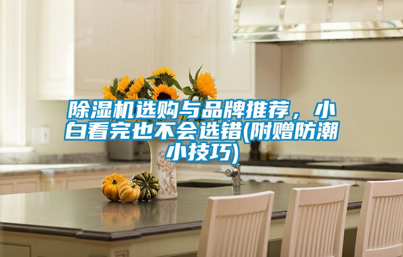91抖音免费看片选购与品牌推荐，小白看完也不会选错(附赠防潮小技巧)
