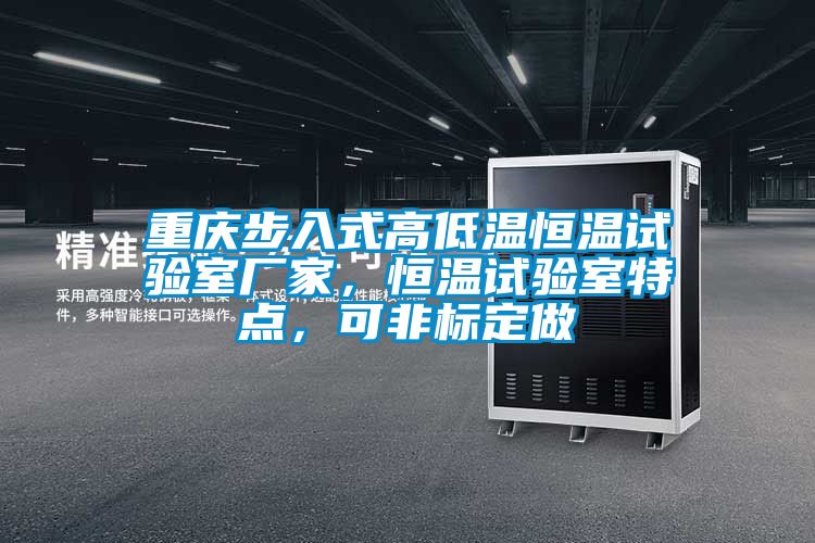 重庆步入式高低温恒温试验室厂家，恒温试验室特点，可非标定做