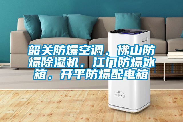 韶关防爆空调，佛山防爆91抖音免费看片，江门防爆冰箱，开平防爆配电箱