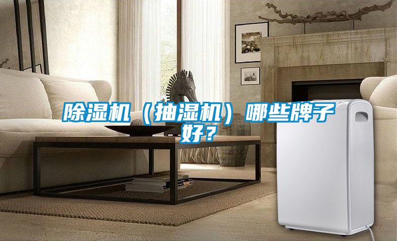 91抖音免费看片（抽湿机）哪些牌子好？
