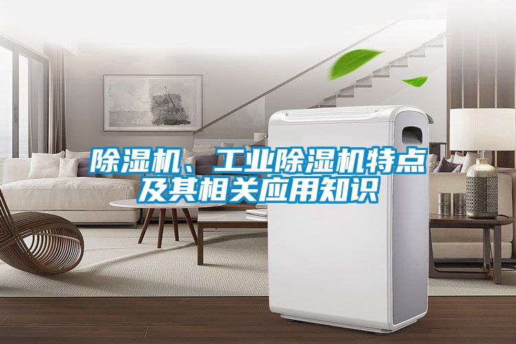 91抖音免费看片、工业91抖音免费看片特点及其相关应用知识