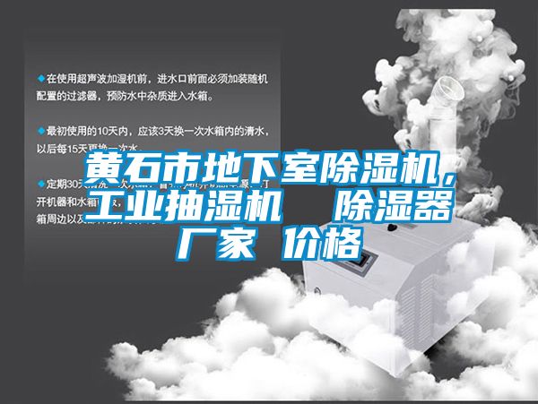 黄石市地下室91抖音免费看片，工业抽湿机  除湿器厂家 价格