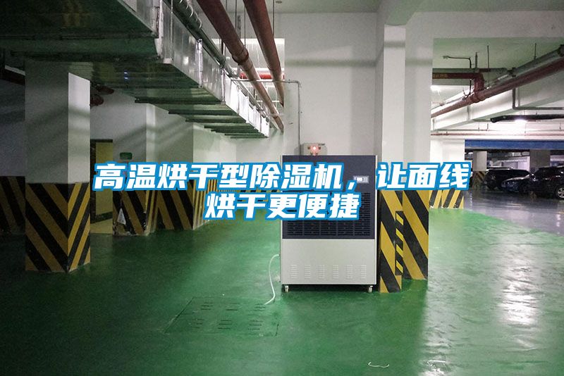 高温烘干型91抖音免费看片，让面线烘干更便捷