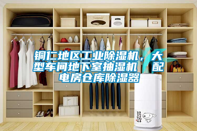 铜仁地区工业91抖音免费看片，大型车间地下室抽湿机  配电房仓库除湿器