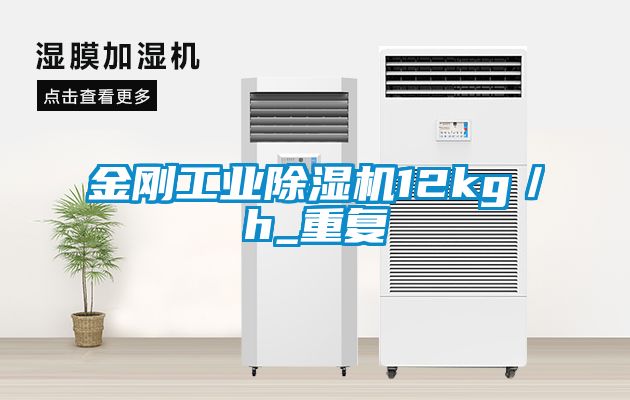 金刚工业91抖音免费看片12kg／h_重复