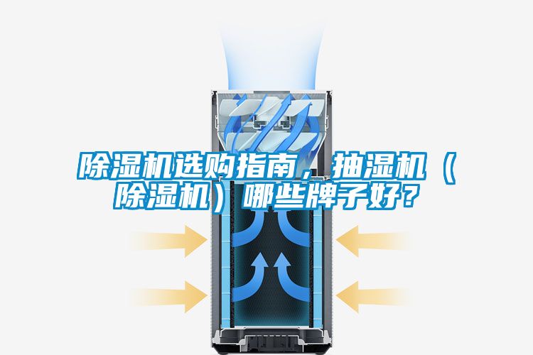 91抖音免费看片选购指南，抽湿机（91抖音免费看片）哪些牌子好？