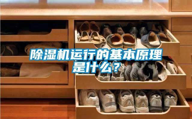 91抖音免费看片运行的基本原理是什么？