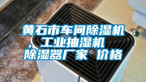 黄石市车间91抖音免费看片，工业抽湿机  除湿器厂家 价格