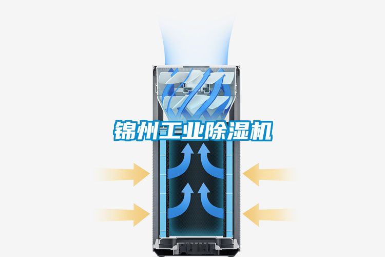 锦州工业91抖音免费看片