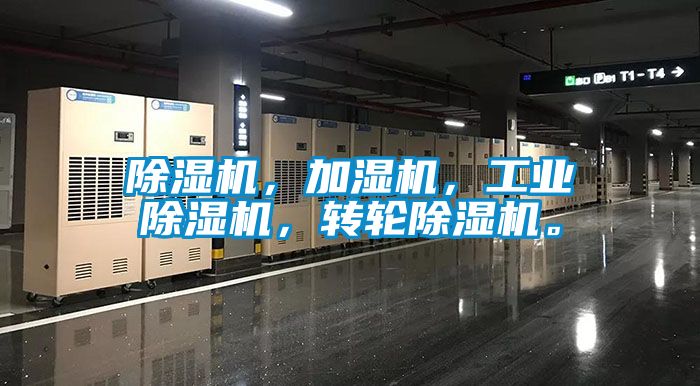 91抖音免费看片，加湿机，工业91抖音免费看片，转轮91抖音免费看片。