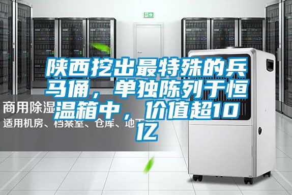 陕西挖出最特殊的兵马俑，单独陈列于恒温箱中，价值超10亿