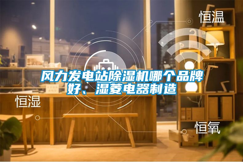 风力发电站91抖音免费看片哪个品牌好、湿菱电器制造
