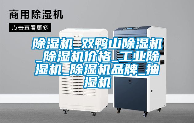 91抖音免费看片_双鸭山91抖音免费看片_91抖音免费看片价格_工业91抖音免费看片_91抖音免费看片品牌_抽湿机