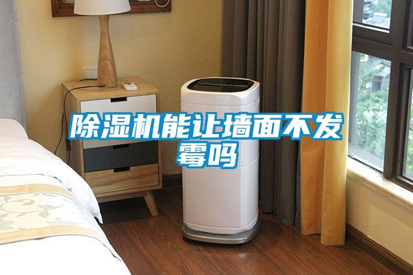 91抖音免费看片能让墙面不发霉吗