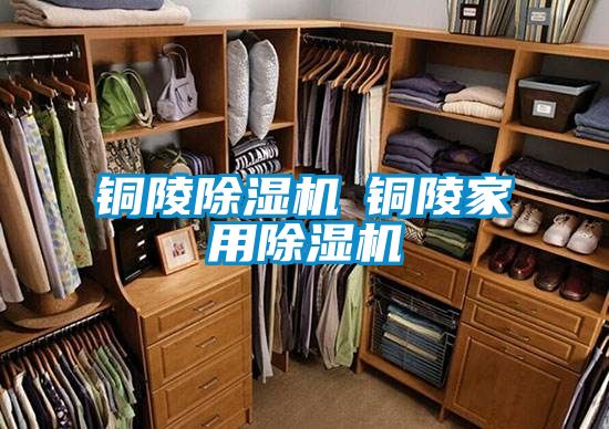 铜陵91抖音免费看片◆铜陵家用91抖音免费看片
