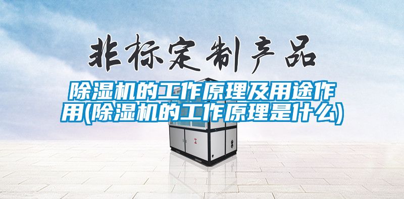 91抖音免费看片的工作原理及用途作用(91抖音免费看片的工作原理是什么)