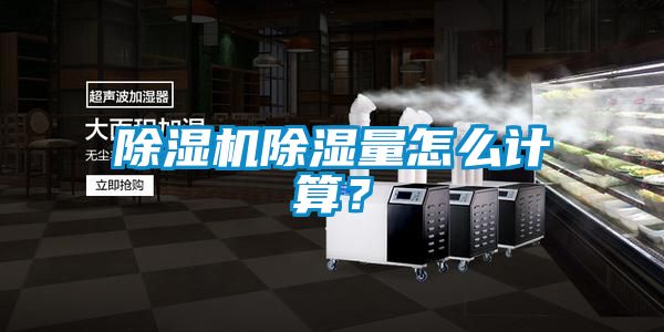 91抖音免费看片除湿量怎么计算？