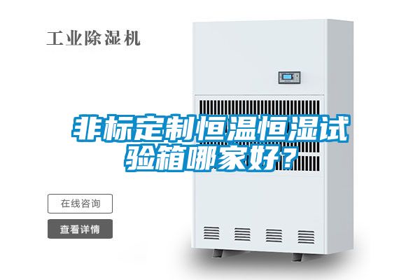 非标定制恒温恒湿试验箱哪家好？