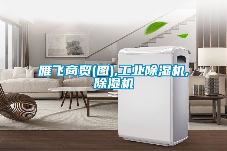 雁飞商贸(图),工业91抖音免费看片,91抖音免费看片