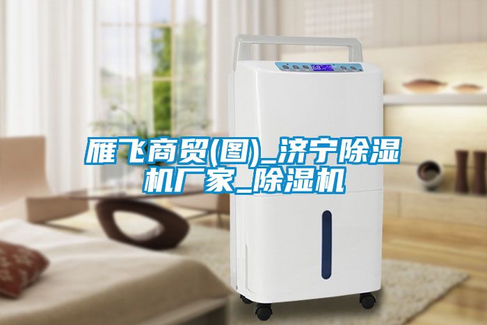 雁飞商贸(图)_济宁91抖音免费看片厂家_91抖音免费看片
