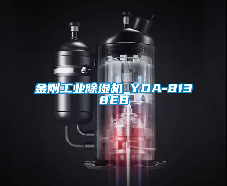 金刚工业91抖音免费看片_YDA-8138EB