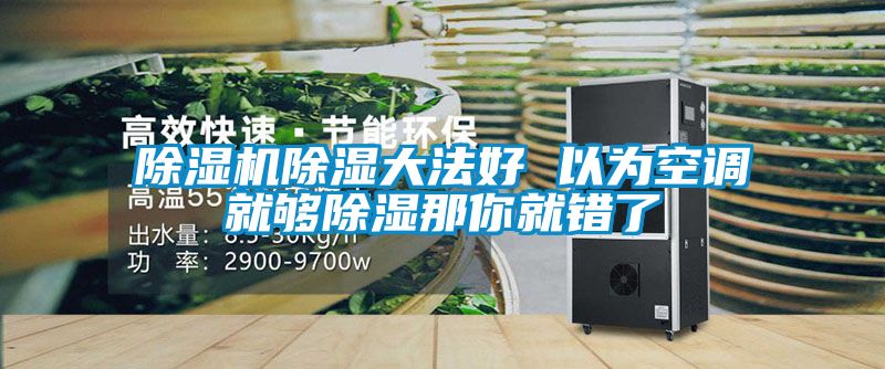 91抖音免费看片除湿大法好 以为空调就够除湿那你就错了