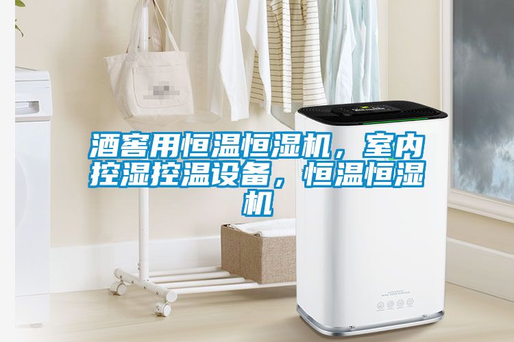 酒窖用恒温恒湿机，室内控湿控温设备，恒温恒湿机