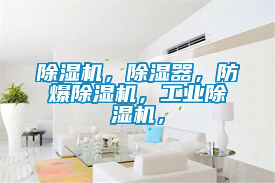91抖音免费看片，除湿器，防爆91抖音免费看片，工业91抖音免费看片，