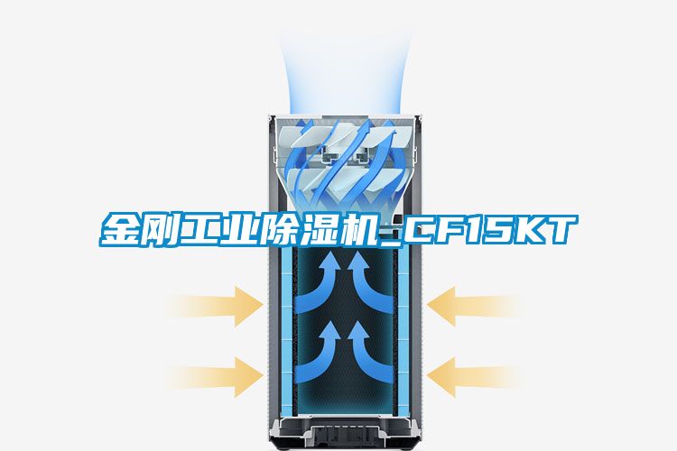 金刚工业91抖音免费看片_CF15KT