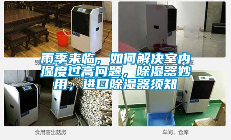 雨季来临，如何解决室内湿度过高问题，除湿器妙用，进口除湿器须知