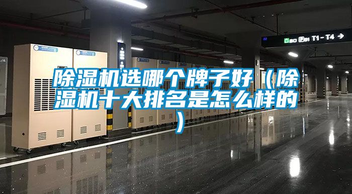 91抖音免费看片选哪个牌子好（91抖音免费看片十大排名是怎么样的）