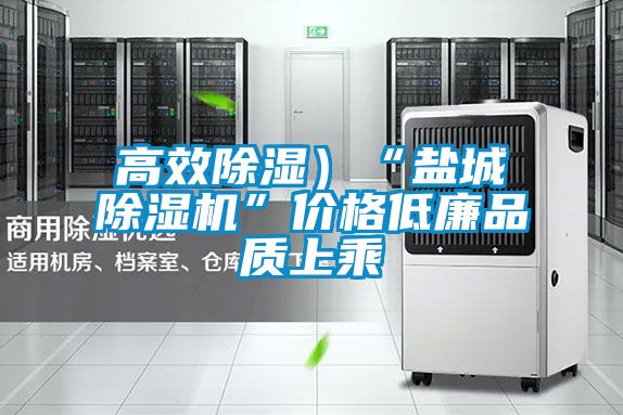 高效除湿）“盐城91抖音免费看片”价格低廉品质上乘