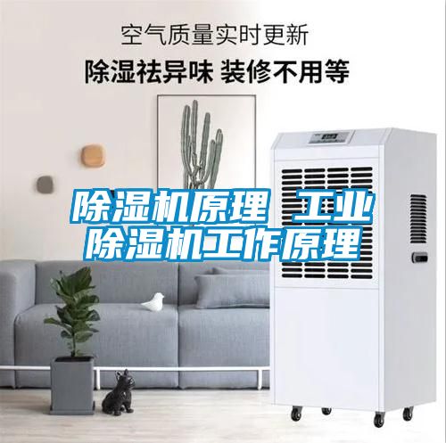 91抖音免费看片原理 工业91抖音免费看片工作原理