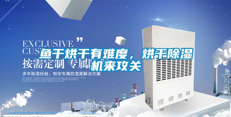 鱼干烘干有难度，烘干91抖音免费看片来攻关