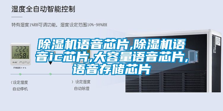 91抖音免费看片语音芯片,91抖音免费看片语音ic芯片,大容量语音芯片,语音存储芯片