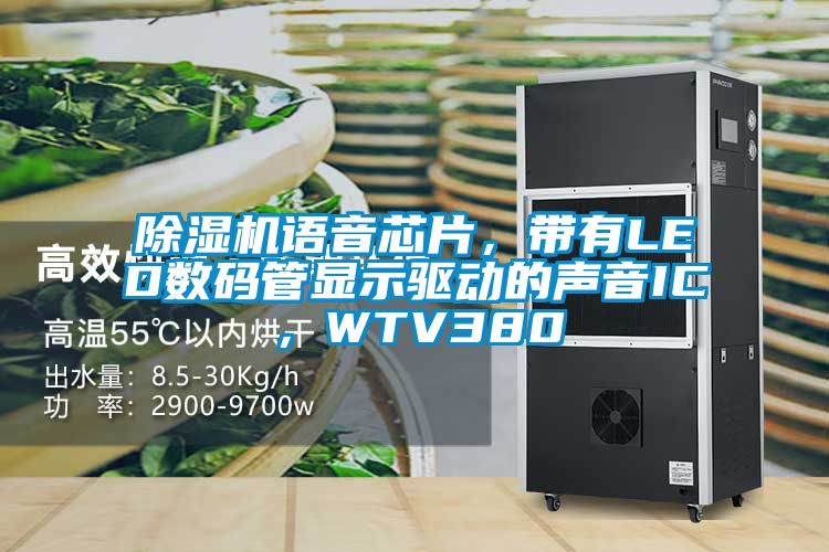 91抖音免费看片语音芯片，带有LED数码管显示驱动的声音IC，WTV380