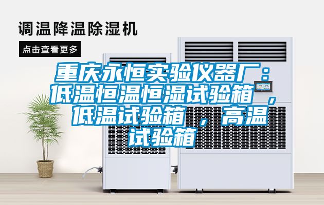 重庆永恒实验仪器厂：低温恒温恒湿试验箱 , 低温试验箱 , 高温试验箱