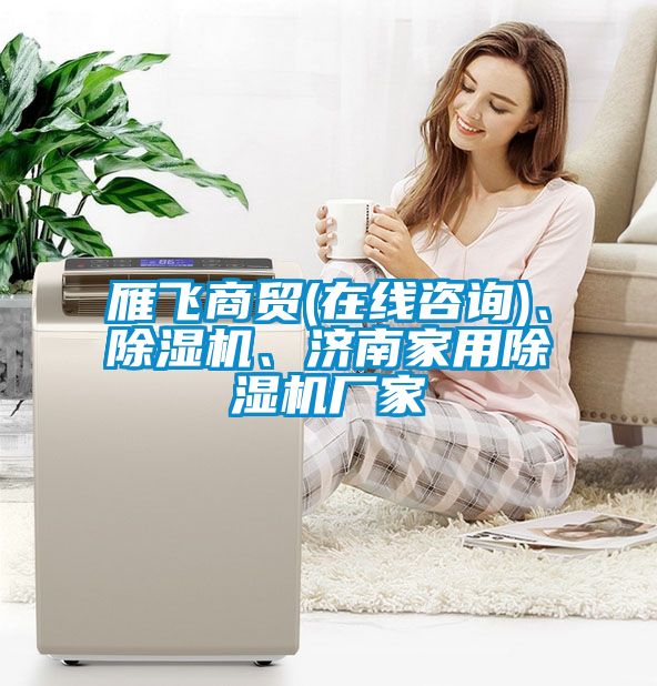 雁飞商贸(在线咨询)、91抖音免费看片、济南家用91抖音免费看片厂家