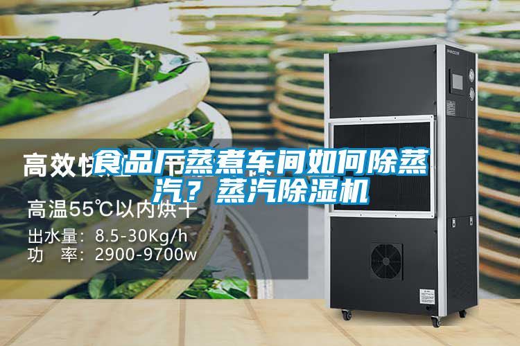 食品厂蒸煮车间如何除蒸汽？蒸汽91抖音免费看片