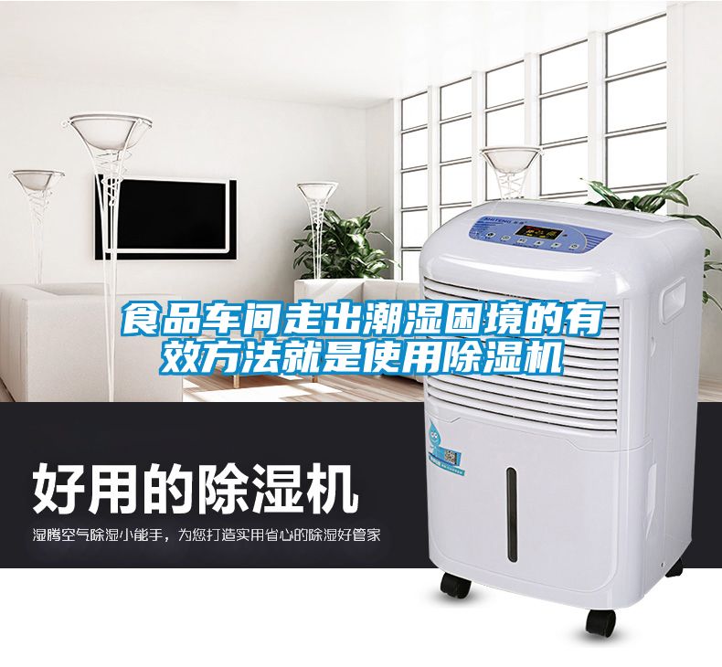 食品车间走出潮湿困境的有效方法就是使用91抖音免费看片