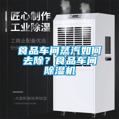 食品车间蒸汽如何去除？食品车间91抖音免费看片