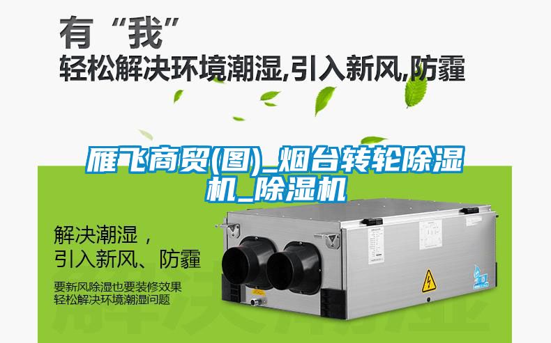 雁飞商贸(图)_烟台转轮91抖音免费看片_91抖音免费看片