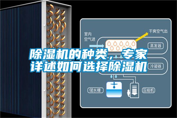 91抖音免费看片的种类，专家详述如何选择91抖音免费看片