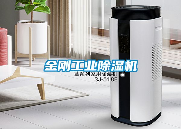 金刚工业91抖音免费看片