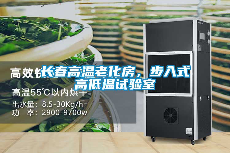 长春高温老化房，步入式高低温试验室