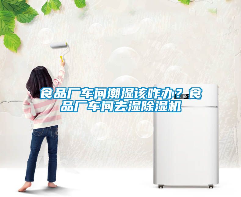 食品厂车间潮湿该咋办？食品厂车间去湿91抖音免费看片