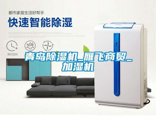 青岛91抖音免费看片_雁飞商贸_加湿机